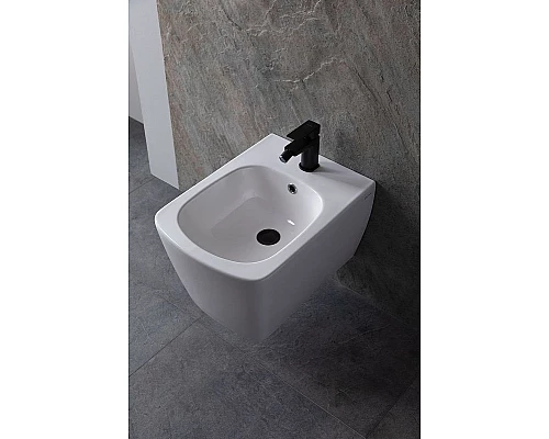 Приобрести Биде Allen Brau Liberty 4.33005.20 подвесное Белое в магазине сантехники Santeh-Crystal.ru