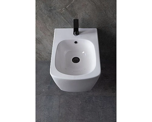 Приобрести Биде Allen Brau Liberty 4.33005.20 подвесное Белое в магазине сантехники Santeh-Crystal.ru