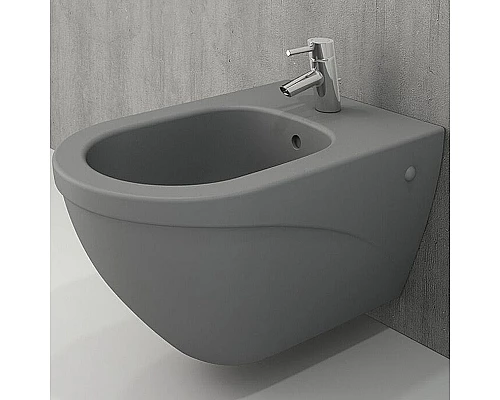 Приобрести Биде Bocchi Taormina Arch 1121-006-0120 подвесное Серое матовое в магазине сантехники Santeh-Crystal.ru