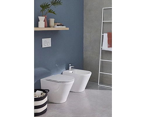 Купить Биде Jacob Delafon Rodin+ EBJ0002-00 Белое в магазине сантехники Santeh-Crystal.ru