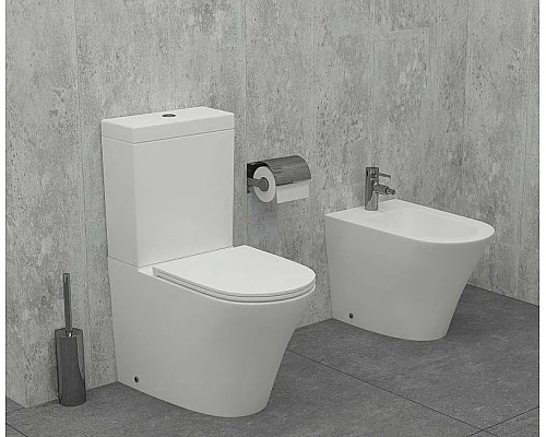 Купить Биде Jacob Delafon Rodin+ EBJ0002-00 Белое в магазине сантехники Santeh-Crystal.ru