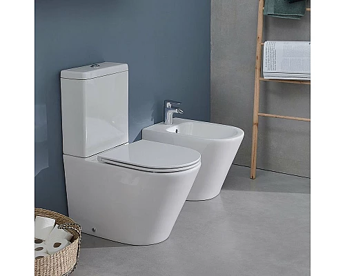 Купить Биде Jacob Delafon Rodin+ EBJ0002-00 Белое в магазине сантехники Santeh-Crystal.ru