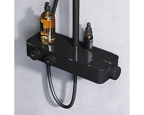 Заказать Душевая система AM.PM Inspire V2.0 F0750A422 с термостатом Черная матовая в магазине сантехники Santeh-Crystal.ru