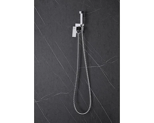 Приобрести Гигиенический душ со смесителем Abber Daheim AF8226 Хром в магазине сантехники Santeh-Crystal.ru