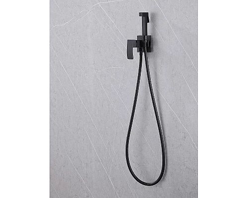 Заказать Гигиенический душ со смесителем Abber Wasserfall AF8625B Черный матовый в магазине сантехники Santeh-Crystal.ru