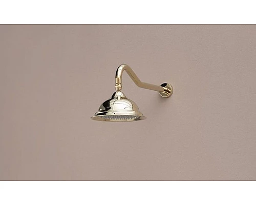 Заказать Кронштейн для верхнего душа Aquanet Classic ARY034 202241 Золото в магазине сантехники Santeh-Crystal.ru