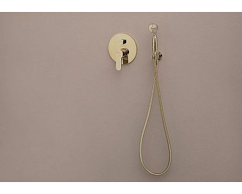 Заказать Шланговое подключение Aquanet Classic ARY3010 202251 Золото в магазине сантехники Santeh-Crystal.ru