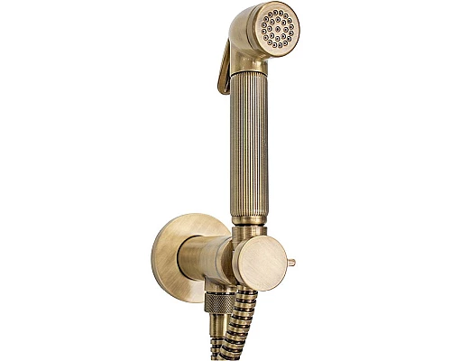 Купить Гигиенический душ со смесителем Bossini Nikita E37008B.022 Бронза в магазине сантехники Santeh-Crystal.ru