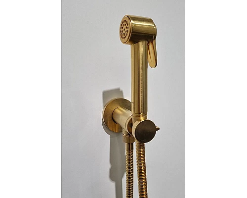 Заказать Гигиенический душ Bossini Paloma Brass E37005B.043 Золото сатинированное в магазине сантехники Santeh-Crystal.ru