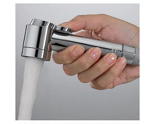 Приобрести Гигиенический душ Bossini Paloma Flat C03177B.030 Хром в магазине сантехники Santeh-Crystal.ru