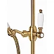 Заказать Душевой гарнитур Cezares Czr CZR-U-S-02-Bi Бронза в магазине сантехники Santeh-Crystal.ru