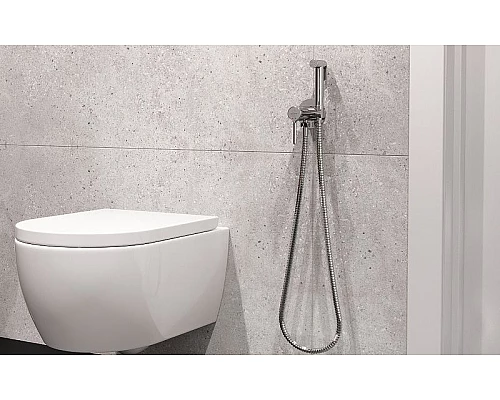 Приобрести Гигиенический душ со смесителем Excellent Pi Arex AREX.1204CR Хром в магазине сантехники Santeh-Crystal.ru