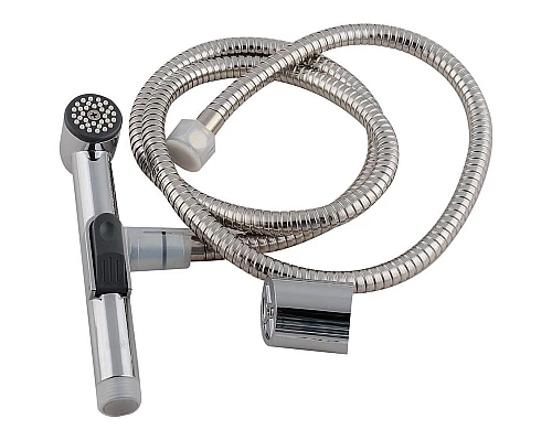 Заказать Гигиенический душ Iddis 0101F15I20 Хром в магазине сантехники Santeh-Crystal.ru