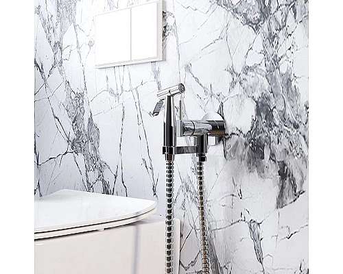 Купить Гигиенический душ со смесителем Paini Isola ISCR442 Хром в магазине сантехники Santeh-Crystal.ru