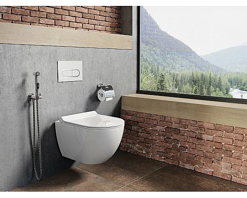 Купить Гигиенический душ с запорным вентилем Ravak BM 040.00 X070077 Хром в магазине сантехники Santeh-Crystal.ru