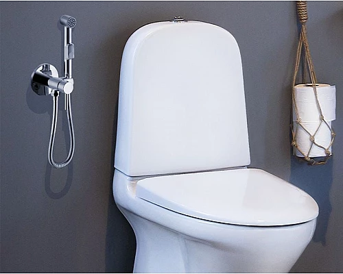 Приобрести Гигиенический душ со смесителем Rossinka X25-51 Хром в магазине сантехники Santeh-Crystal.ru