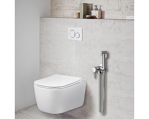 Приобрести Гигиенический душ со смесителем Vincea VHFW-101CH Хром в магазине сантехники Santeh-Crystal.ru