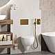 Купить Гигиенический душ со смесителем WasserKRAFT А71097 Золото в магазине сантехники Santeh-Crystal.ru