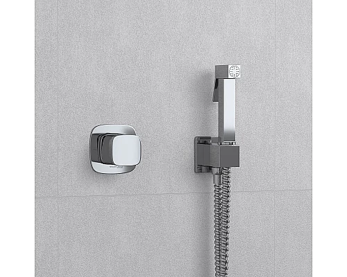 Приобрести Гигиенический душ со смесителем WasserKRAFT A08657 Никель в магазине сантехники Santeh-Crystal.ru