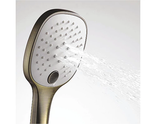 Купить Ручной душ WasserKRAFT A050 Светлая бронза в магазине сантехники Santeh-Crystal.ru