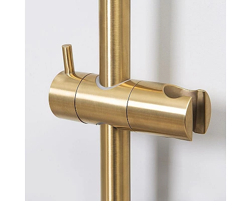 Приобрести Душевая штанга WasserKRAFT Aisch A190 Золото матовое в магазине сантехники Santeh-Crystal.ru