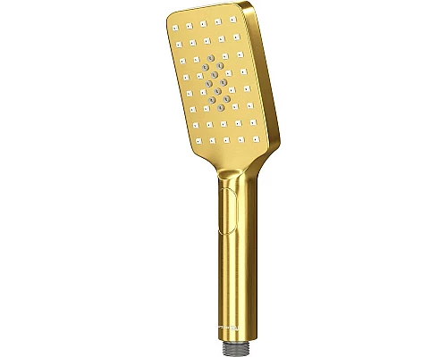 Заказать Ручной душ WasserKRAFT Aisch A201 Золото матовое в магазине сантехники Santeh-Crystal.ru