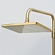 Заказать Душевая система WasserKRAFT Aisch A15501 Золото матовое в магазине сантехники Santeh-Crystal.ru