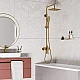 Заказать Душевая система WasserKRAFT Aisch A15501 Золото матовое в магазине сантехники Santeh-Crystal.ru
