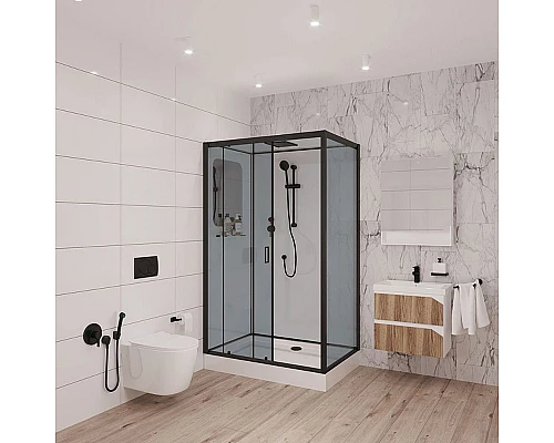 Заказать Душевая кабина Niagara Premium 120x80 NG-6912-01QL Black без гидромассажа в магазине сантехники Santeh-Crystal.ru