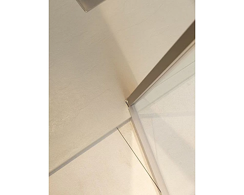 Приобрести Душевая дверь Allen Brau Priority 120 3.31008.BA профиль Серебро брашированное стекло прозрачное в магазине сантехники Santeh-Crystal.ru