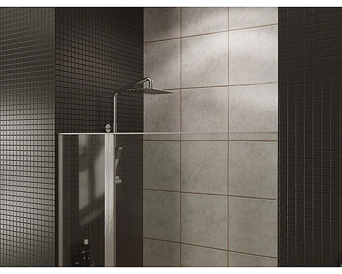 Приобрести Душевая дверь Allen Brau Priority 120 3.31008.BA профиль Серебро брашированное стекло прозрачное в магазине сантехники Santeh-Crystal.ru