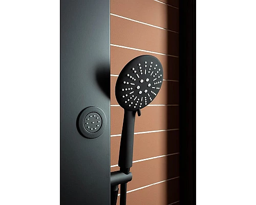 Заказать Душевая дверь Aquanet Pleasure AE60-N-160H200U-BT 160 273600 профиль Черный матовый стекло прозрачное в магазине сантехники Santeh-Crystal.ru