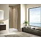 Купить Душевая дверь Cezares Eco 65 ECO-O-B-1-65-C-Cr профиль Хром стекло прозрачное в магазине сантехники Santeh-Crystal.ru