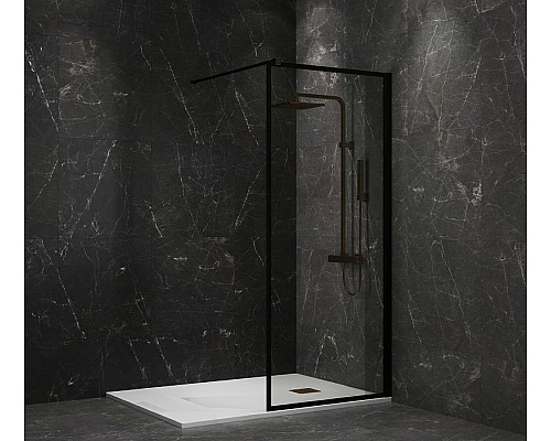 Заказать Душевая перегородка Paini 90 Walk-In 90F профиль Черный матовый стекло прозрачное в магазине сантехники Santeh-Crystal.ru