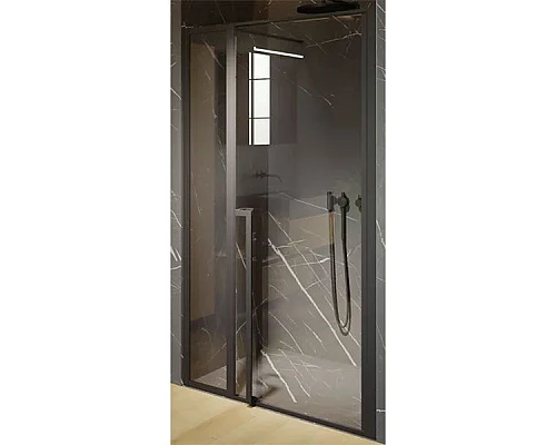 Купить Душевая дверь Riho Lucid GD104 120х10 G005005121 (GD112B000) профиль Черный стекло прозрачное в магазине сантехники Santeh-Crystal.ru