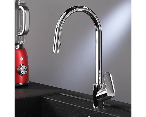 Заказать Смеситель для кухни AM.PM Like F8012000 Хром в магазине сантехники Santeh-Crystal.ru