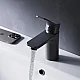 Купить Смеситель для раковины AM.PM X-Joy F85A02122 Черный матовый в магазине сантехники Santeh-Crystal.ru