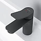 Купить Смеситель для раковины AM.PM X-Joy F85A02122 Черный матовый в магазине сантехники Santeh-Crystal.ru