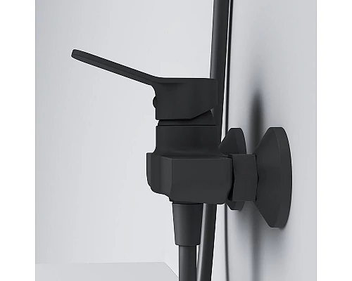 Приобрести Смеситель для душа AM.PM X-Joy F85A20022 Черный матовый в магазине сантехники Santeh-Crystal.ru