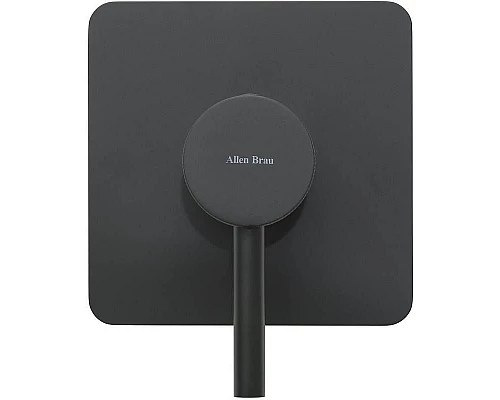 Приобрести Смеситель для душа Allen Brau Priority 5.31012-31 Черный матовый в магазине сантехники Santeh-Crystal.ru