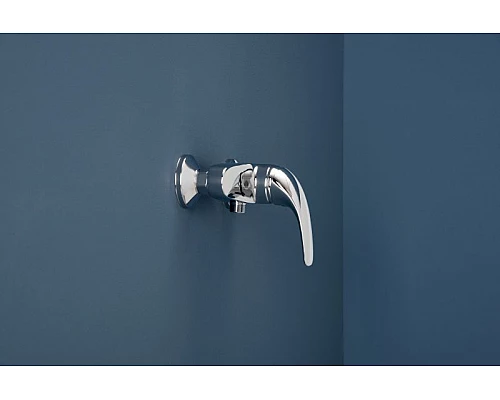 Приобрести Смеситель для душа Aquanet Cobra SD90367 187206 Хром в магазине сантехники Santeh-Crystal.ru