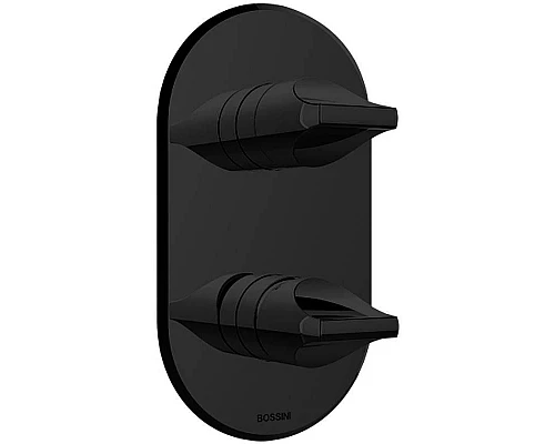 Приобрести Смеситель для душа Bossini Apice Z00501.073 Черный матовый в магазине сантехники Santeh-Crystal.ru