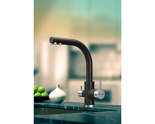 Приобрести Смеситель для кухни Paulmark Essen Es213011-401 Антрацит в магазине сантехники Santeh-Crystal.ru