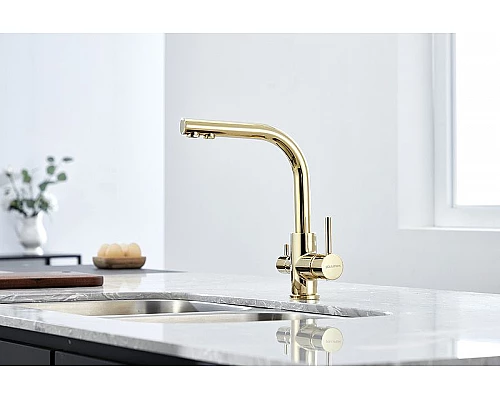 Приобрести Смеситель для кухни Paulmark Essen Es213011-G Золото в магазине сантехники Santeh-Crystal.ru