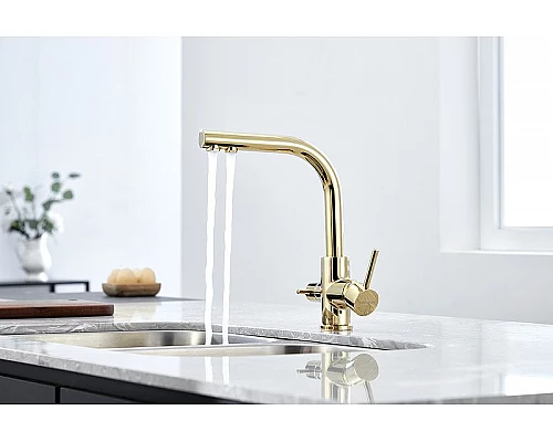 Приобрести Смеситель для кухни Paulmark Essen Es213011-G Золото в магазине сантехники Santeh-Crystal.ru