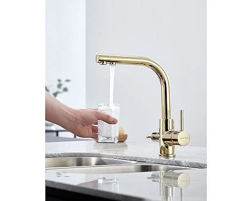 Приобрести Смеситель для кухни Paulmark Essen Es213011-G Золото в магазине сантехники Santeh-Crystal.ru