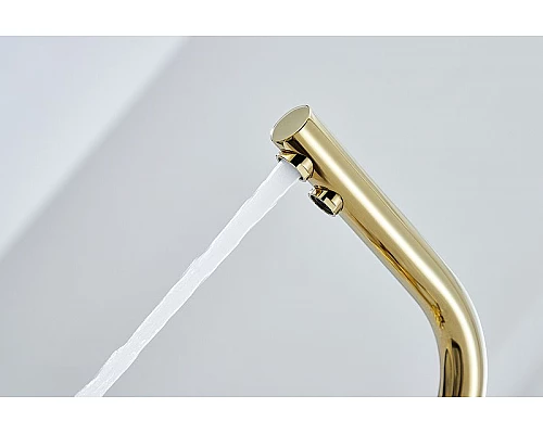 Приобрести Смеситель для кухни Paulmark Essen Es213011-G Золото в магазине сантехники Santeh-Crystal.ru