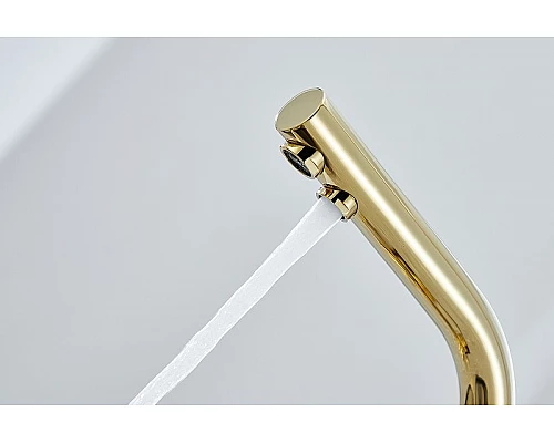 Приобрести Смеситель для кухни Paulmark Essen Es213011-G Золото в магазине сантехники Santeh-Crystal.ru