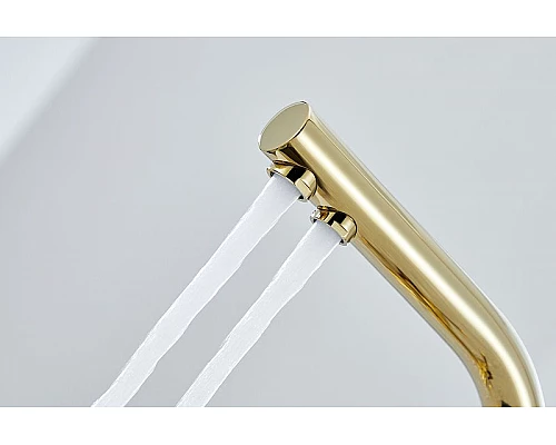 Приобрести Смеситель для кухни Paulmark Essen Es213011-G Золото в магазине сантехники Santeh-Crystal.ru