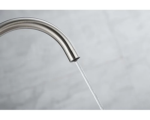 Купить Смеситель для кухни Paulmark Essen Es213211-NI Никель в магазине сантехники Santeh-Crystal.ru